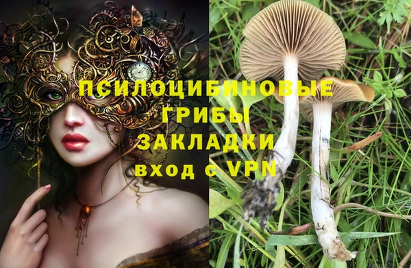 MESCALINE Кинешма