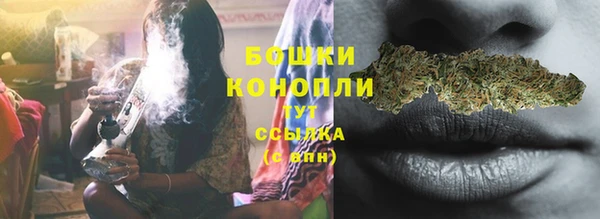 сатива Киреевск