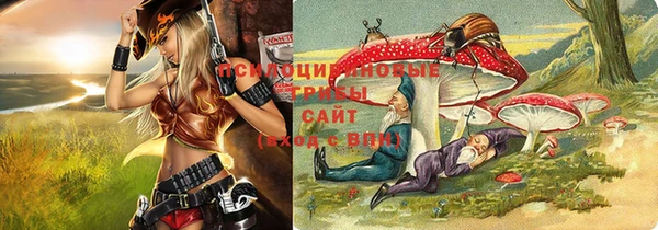 дживик Киренск