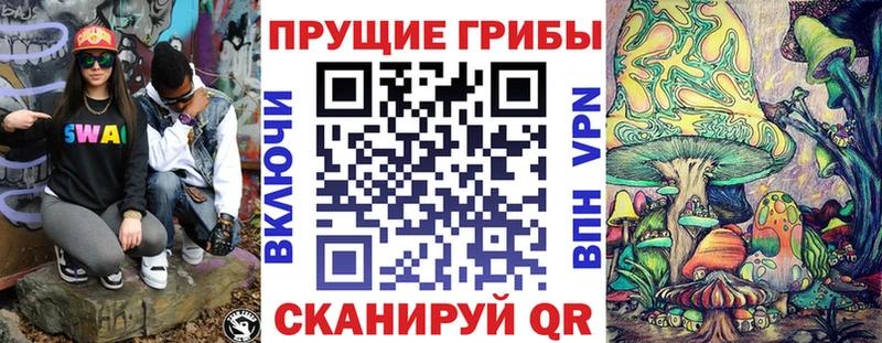 Псилоцибиновые грибы мицелий  Купить где  Бологое 